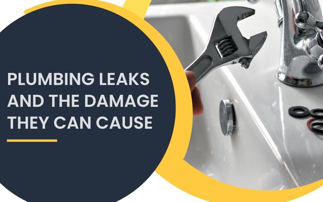 Plumbing Leaks