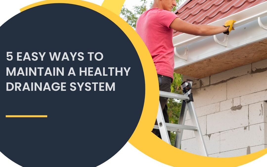 5 Easy Ways to Maintain a Healthy Drainage System