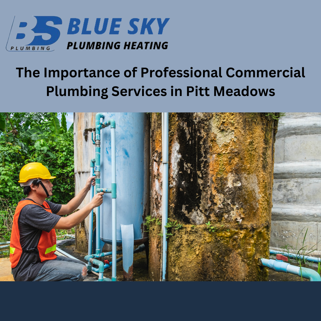 The Importance of Professional Commercial Plumbing Services in Pitt Meadows