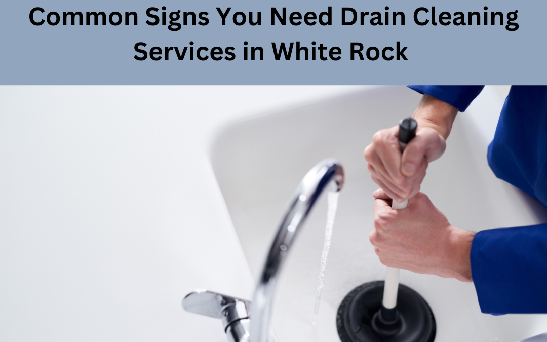 Common Signs You Need Drain Cleaning Services in White Rock