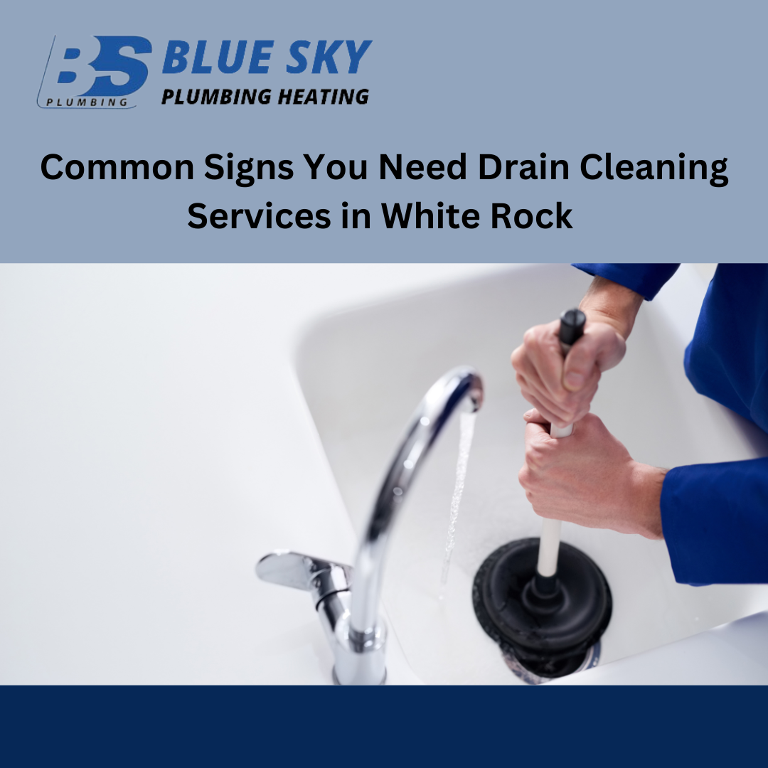 Common Signs You Need Drain Cleaning Services in White Rock