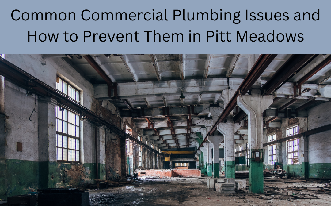 Common Commercial Plumbing Issues and How to Prevent Them in Pitt Meadows