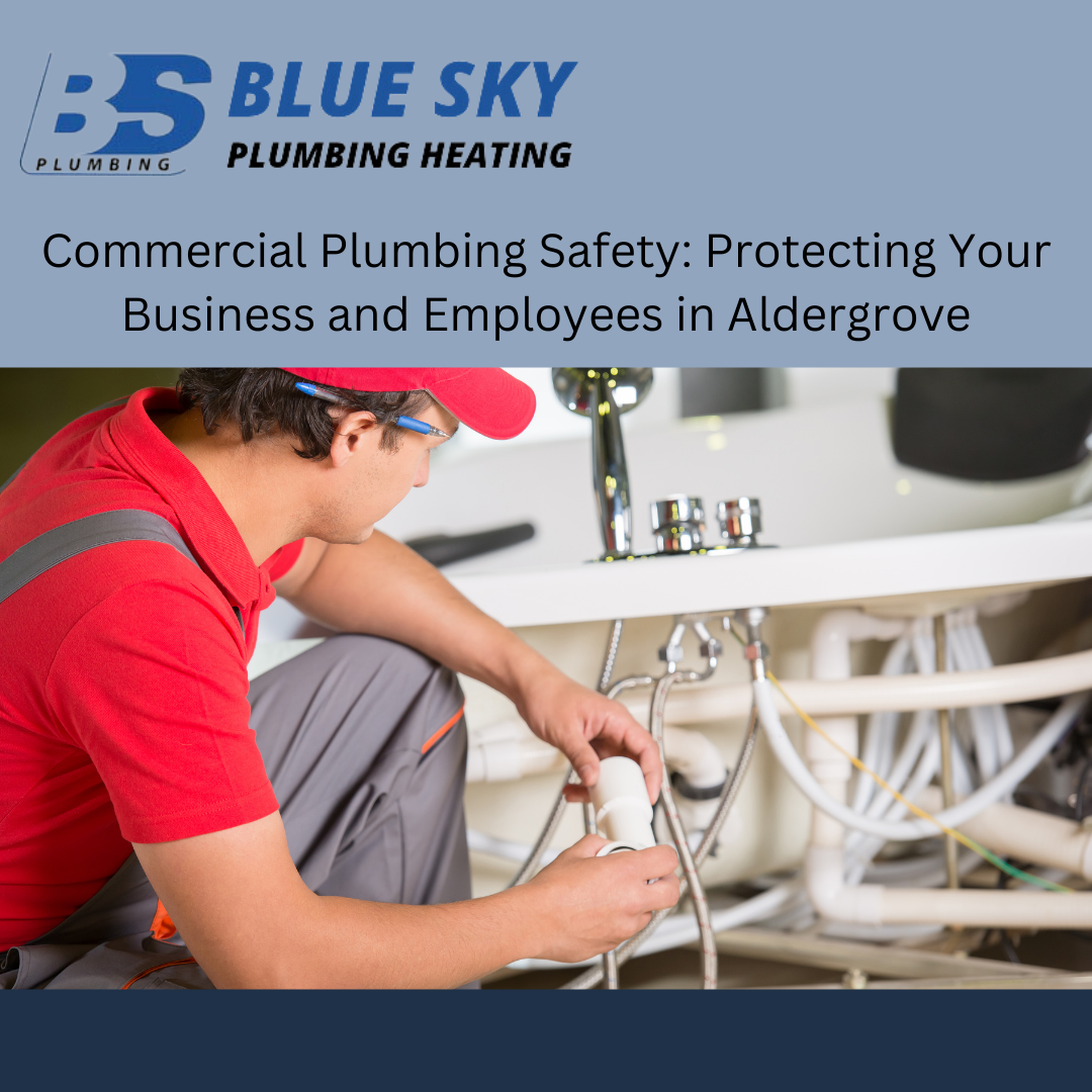Commercial Plumbing Safety: Protecting Your Business and Employees in Aldergrove