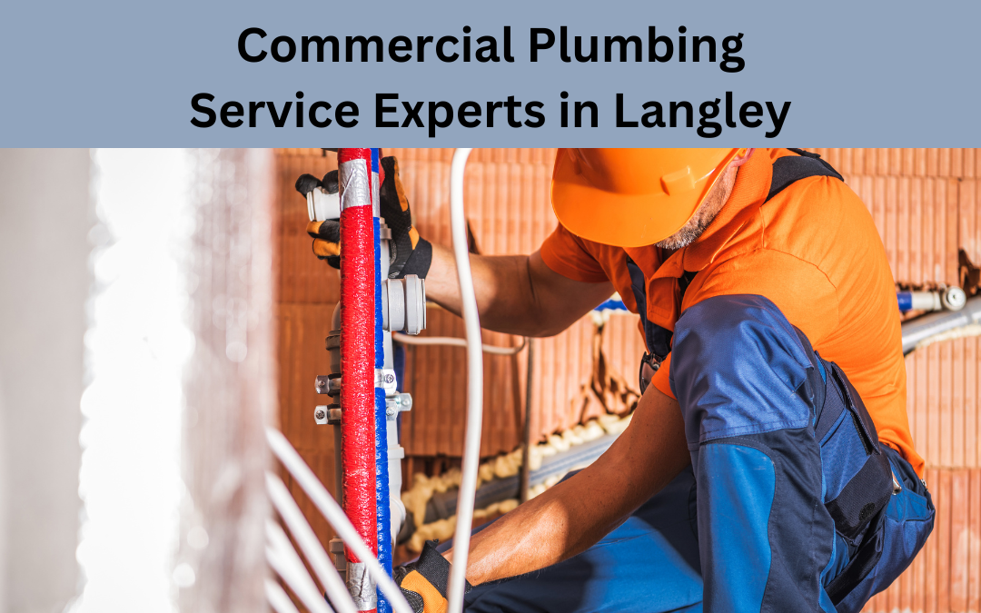 Commercial Plumbing Service Experts