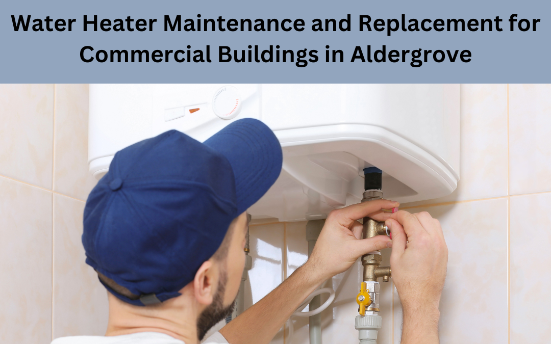 Water Heater Maintenance and Replacement for Commercial Buildings in Aldergrove