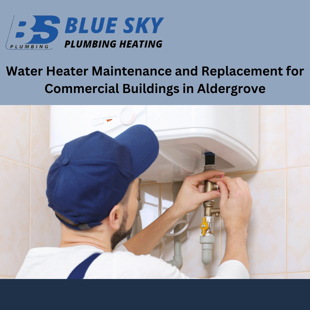 Water Heater Maintenance and Replacement for Commercial Buildings in Aldergrove